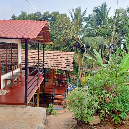 Готель Shiv Sai Huts Канакона Екстер'єр фото