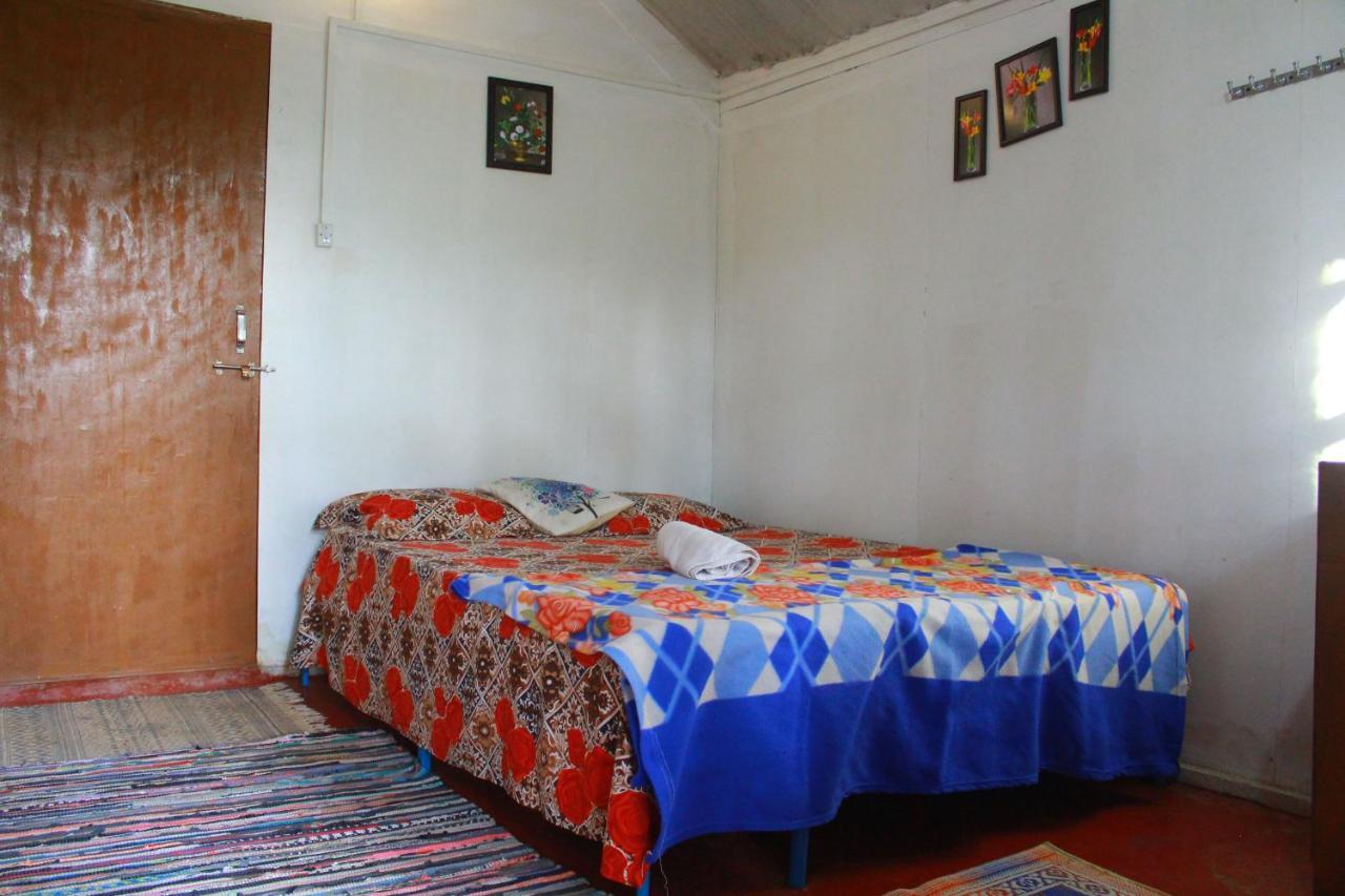 Готель Shiv Sai Huts Канакона Екстер'єр фото