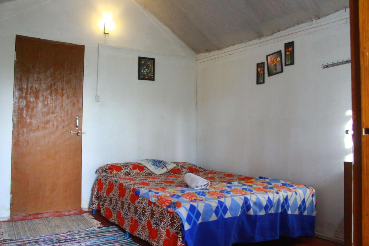 Готель Shiv Sai Huts Канакона Екстер'єр фото